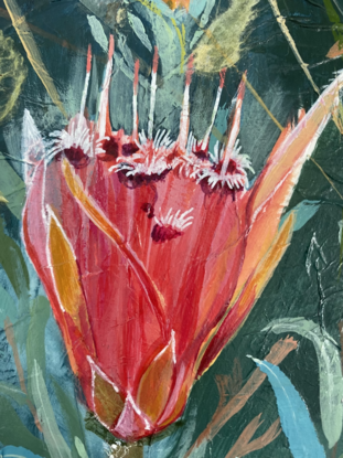 Red Lambertia Formosa Flower surrounded by mixed media leaves