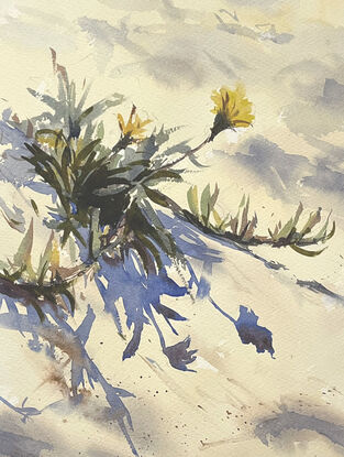 A watercolour painting of little yellow flowers blossoming along the shores of Brighton Beach.
