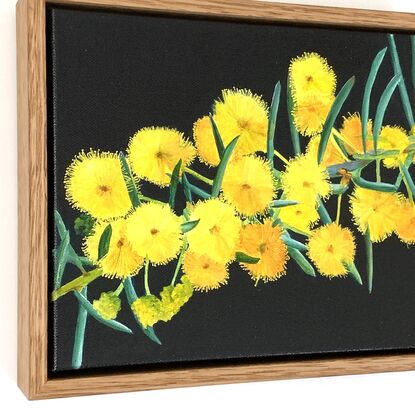 Explosions of bright yellow wattle on a dark blue background. Framed in natural wood.