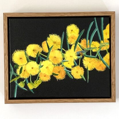 Explosions of bright yellow wattle on a dark blue background. Framed in natural wood.