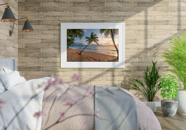 A palm tree on palm beach near cairns at sunrise