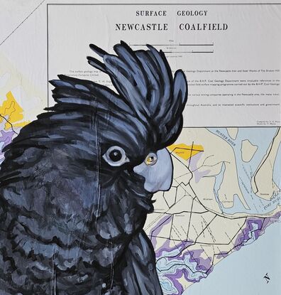 Coal Black Cockatoo of Newcastle facing out to sea.