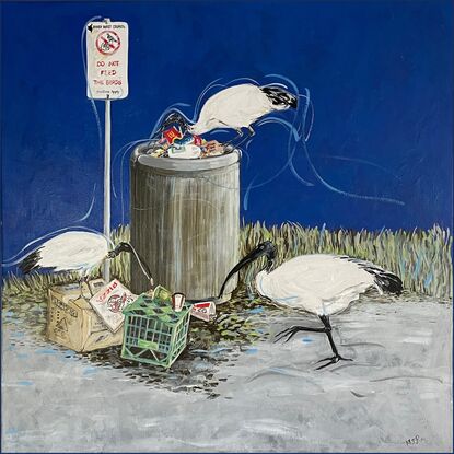 Bin Chickens feeding from an overflowing council garbage bin.