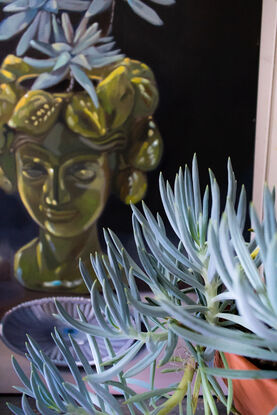 A head shaped planter with limes carved into the head as if hair. A circle of stars above the head and blue embossed glass. Dark background.