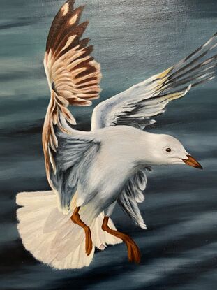 Oil painting of a seagull in flight, about to land.  There's water in the background.