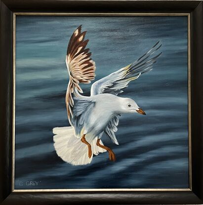 Oil painting of a seagull in flight, about to land.  There's water in the background.