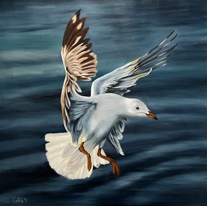 Oil painting of a seagull in flight, about to land.  There's water in the background.