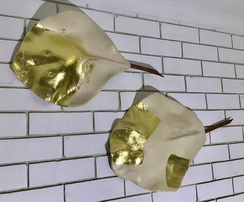 A pair of Gold and cream coloured ceramic sculptures of stingrays.