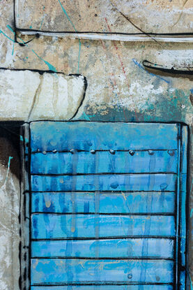 a lost dog stands in front of an old building with blue doors in France