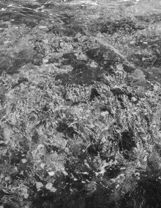 Abstract photograph of rocks underneath the surface of water in sunlight.