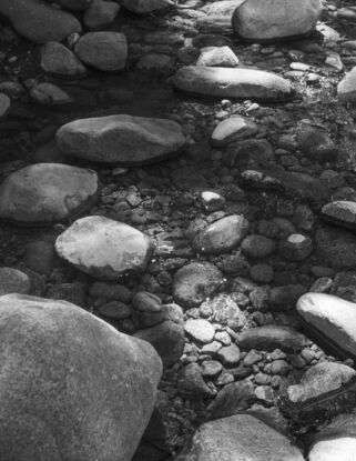 Photograph of stones in a river bed. Water reaches halfway up the larger ones as sunlight plays across them in patches.