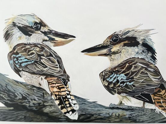 Two kookaburras perched gracefully on a sturdy tree branch, their vibrant feathers standing out against the muted backdrop of the grey sky. Their beauty adds a touch of vibrancy to the scene, capturing the eye with their vivid colors and lively presence.