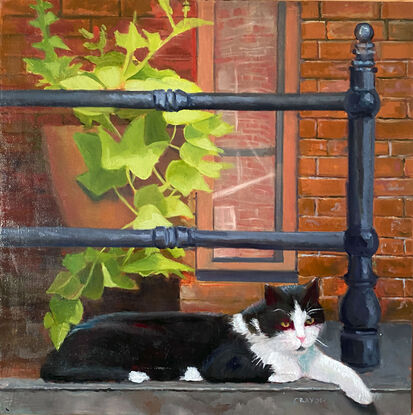 Cat resting on stoop on street