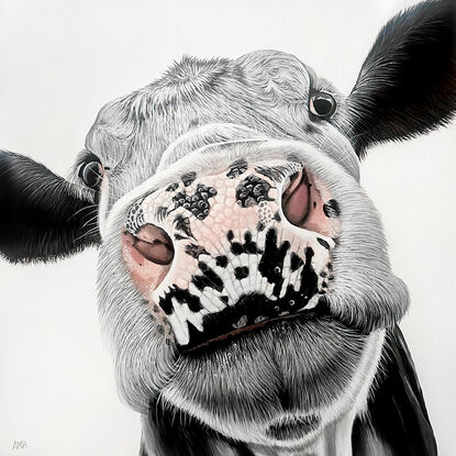 Missy Moo Cow Original Acrylic Painting by Anne-Marie Bloor