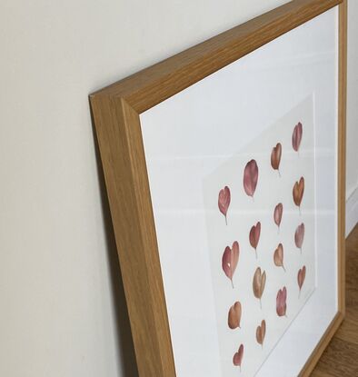 Heart shaped eucalyptus leaves in a grid pattern, painted in watercolours.