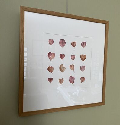 Heart shaped eucalyptus leaves in a grid pattern, painted in watercolours.