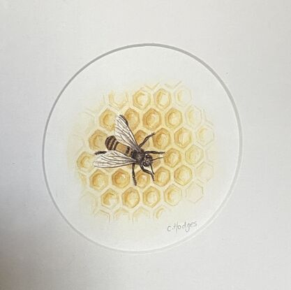 A honey bee on honeycomb, painted in watercolour.