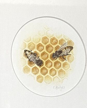 A honey bee on honeycomb, painted in watercolour.