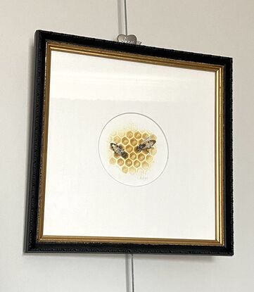 A honey bee on honeycomb, painted in watercolour.