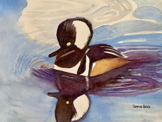 An artwork showing a Merganser duck with impressive plummage .
