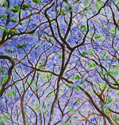 a boulevard depicting Spring in Australia with varying sizes of Jacaranda trees growing on either side, covered with clouds of blue and purple blossoms along their intertwining branches with fallen petals lying across the street