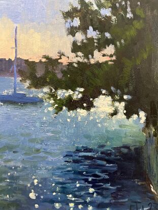 Four boats on the harbour waters, sunlight behind a tree sparkling in the water. 