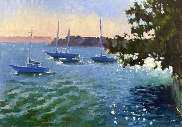 Four boats on the harbour waters, sunlight behind a tree sparkling in the water. 