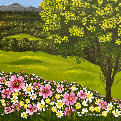 golden wattle tree and a field of pink yellow and white wild flowers against a landscape backdrop of rolling green hills and a blue sky