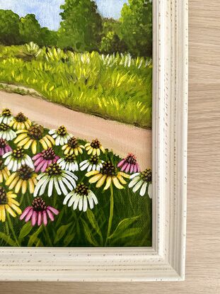 field of wild cosmos against a hinterland landscape scene featuring a path, a eucalyptus tree and a view of the glass house mountains 