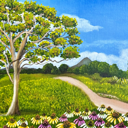 field of wild cosmos against a hinterland landscape scene featuring a path, a eucalyptus tree and a view of the glass house mountains 