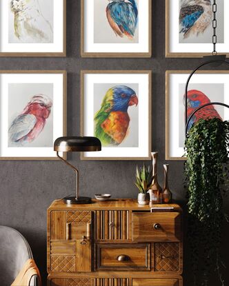 Australian parrot portraits in watercolour  unframed art on paper. Colourful and highly detailed watercolour painting . 