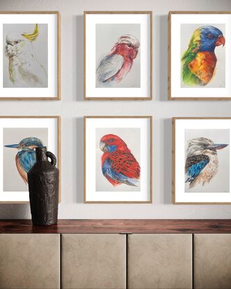 Australian parrot portraits in watercolour  unframed art on paper