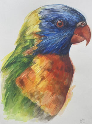 Australian parrot portraits in watercolour  unframed art on paper