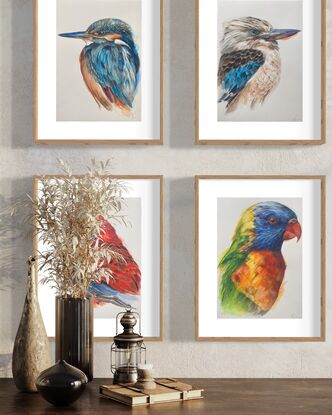 Australian parrot portraits in watercolour  unframed art on paper. Rich colour & high detail of birds