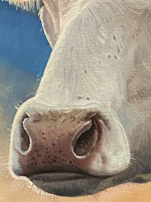 Overall, the symbolism of cows varies among different people, but generally, they represent traits like strength, endurance, hard work, and stability.


Every one of my paintings strives to give people a strong first impression and feeling. I try to be that every painting I send to my customers is intact and undamaged, and it is delivered to them in the shortest possible time. I also use the best pigments, which last for a long time.
Paul is an Oil Painters of America (OPA) Signature Member, Art Gallery Painter, Award-Winning Artist, Sr. Illustrator in Animation and Gaming field, born in Guangzhou, China. Received his BFA degree from Guangzhou Academy of Fine Art one of the most prestigious fine arts schools in China, has lived in the United States over 27 years. 
In the past 6 years at the Academy of Fine Arts, he has learned solid basic fine art skills in drawing and paint realism. This can be seen from many of his artworks. The subjects he likes to paint are diverse and all have his own unique observation vision and style features, such as characters, landscapes, cityscapes, still life, animals, historical theme etc., the style is impressionism, sometimes he also paints abstract paintings, and when he works for animation or game companies, he also uses Photoshop to paint on computer. For decades, the price of his paintings has been increasing in the world art market. Many art collectors all over the world are collecting his artwork. 

All works are copyrighted, and all rights are reserved by the artist.
Thank You!

