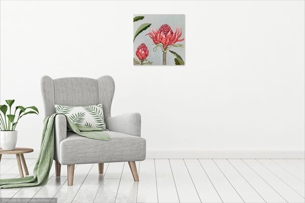 An open waratah flower and a waratah bud with green leaves on pale blue background 