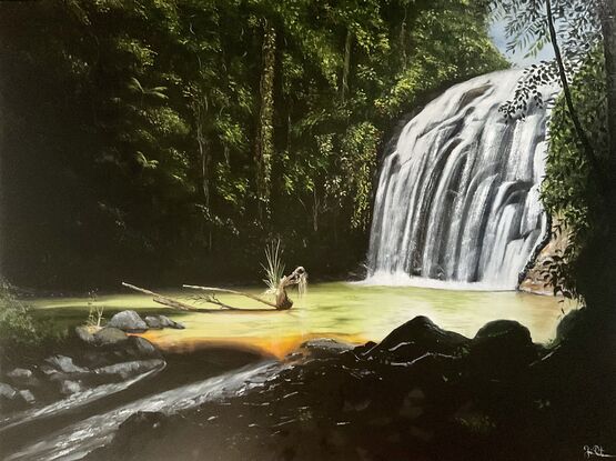 Waterfall in rainforest Australia