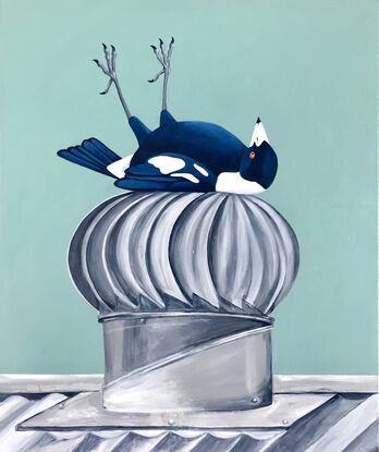 A magpie lying down on a rooftop whirly bird.