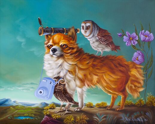 Pomeranian Dog with owls in the landscape