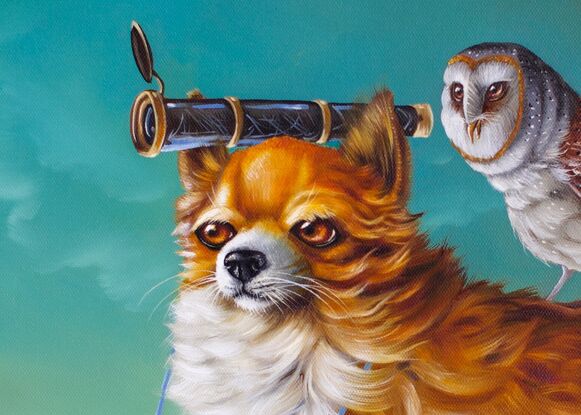 Pomeranian Dog with owls in the landscape