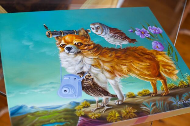 Pomeranian Dog with owls in the landscape