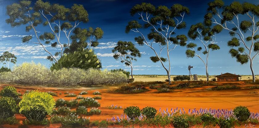 Australian Flowering Scrubland and house