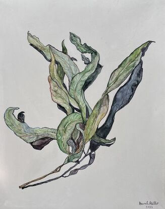 A minimalist impressionist watercolour of a cluster of eucalyptus/gum leaves casting a dramatic shadow. The shapes formed by the leaves and shadows are reminiscent of a bird taking flight.