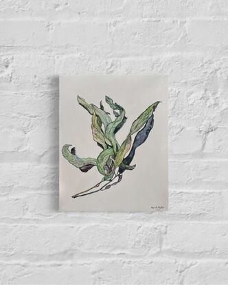 A minimalist impressionist watercolour of a cluster of eucalyptus/gum leaves casting a dramatic shadow. The shapes formed by the leaves and shadows are reminiscent of a bird taking flight.