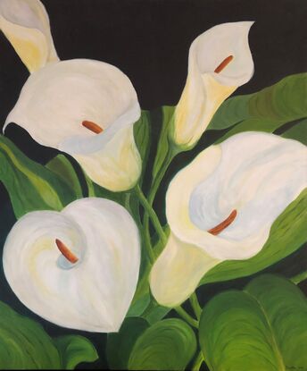 Peace Lilies with leaves showing harmony in a rhythmic flow.