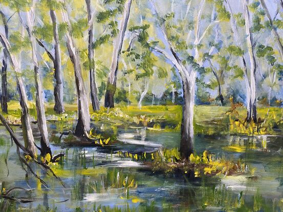 A quiet flood plain or wet lands with the intense colours from the first rains. The trees stand tall and regal as though standing guard over the land. A peaceful water scene of untouched beauty that can be found in pockets around the rivers of Australia. 