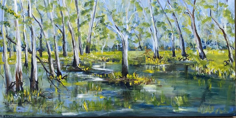 A quiet flood plain or wet lands with the intense colours from the first rains. The trees stand tall and regal as though standing guard over the land. A peaceful water scene of untouched beauty that can be found in pockets around the rivers of Australia. 