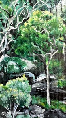 Australian Bush scene, green trees, water's edge, bushland