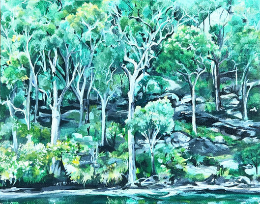 Australian Bush scene, green trees, water's edge, bushland