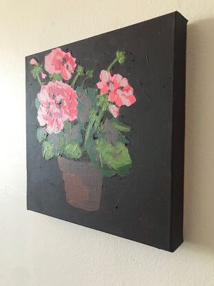 A terracotta pot sits in the centre of frame and in it is a pink geranium plant with big clusters of blooms sitting above scalloped edge mid green leaves, the background is a deep brown.black